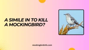 A Simile In To Kill A Mockingbird