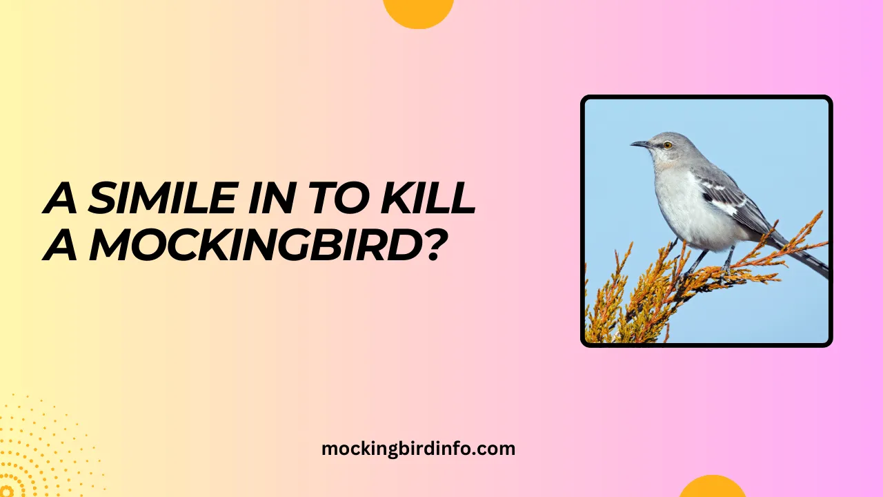 A Simile In To Kill A Mockingbird