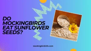 Do Mockingbirds Eat Sunflower Seeds