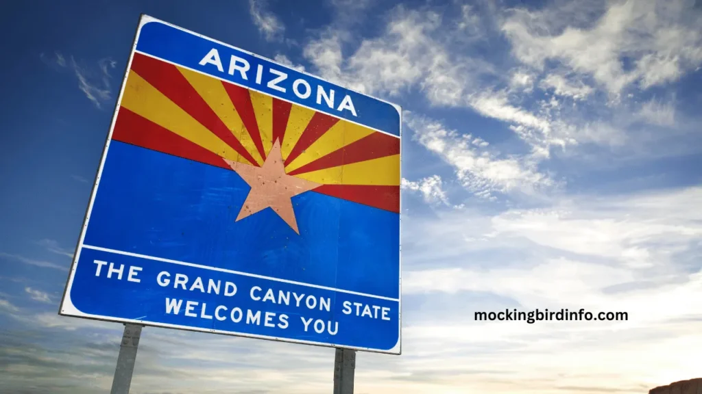 Does Arizona Have Mockingbirds