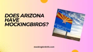 Does Arizona Have Mockingbirds