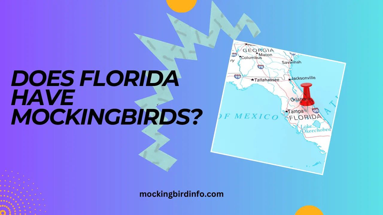 Does Florida Have Mockingbirds