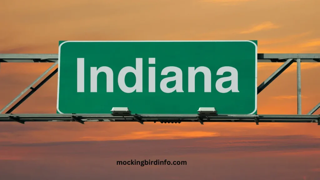 Does Indiana Have Mockingbirds? (Answered)