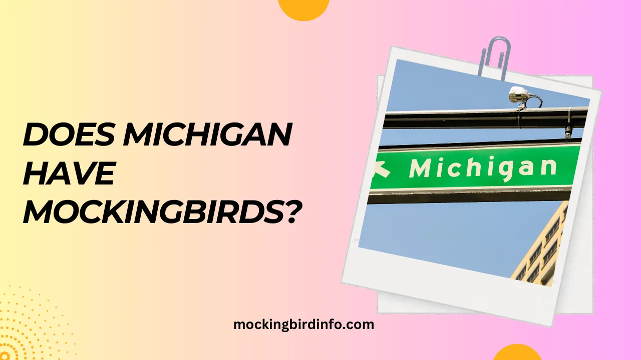 Does Michigan Have Mockingbirds