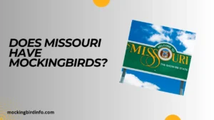 Does Missouri Have Mockingbirds