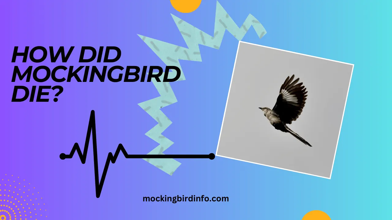 How Did Mockingbird Die