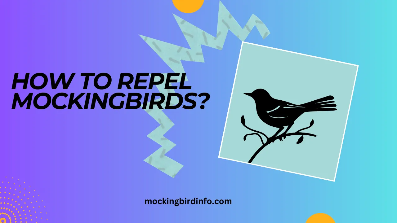 How To Repel Mockingbirds? (Explained)