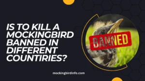 Is To Kill A Mockingbird Banned In Different Countiries