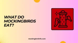 What Do Mockingbirds Eat