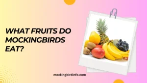 What Fruits Do Mockingbirds Eat