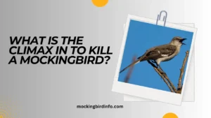 What Is The Climax In To Kill A Mockingbird