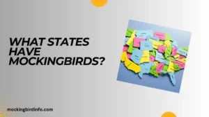 What States Have Mockingbirds