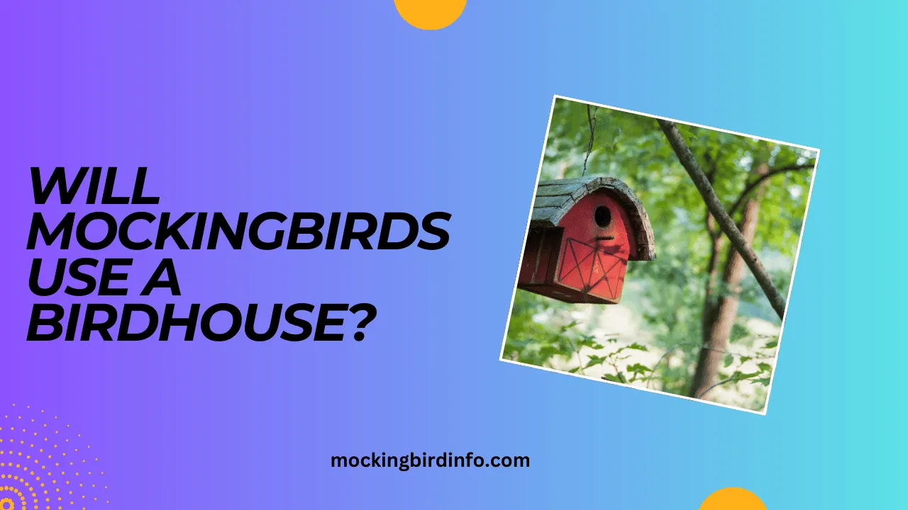 Mockingbird Info