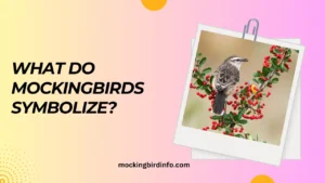 what do mockingbirds symbolize