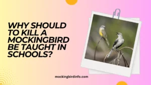 why should to kill a mockingbird be taught in schools